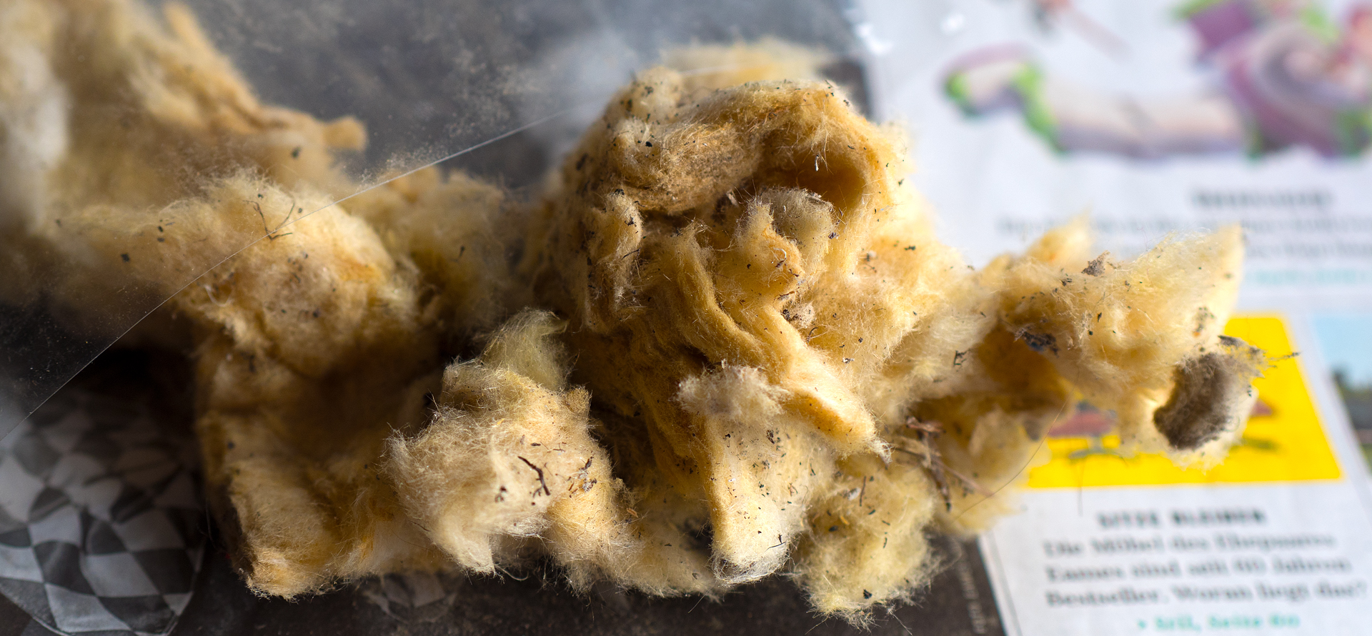 Gesundheitsschädliches Dämmmaterial im Marx-Zentrum