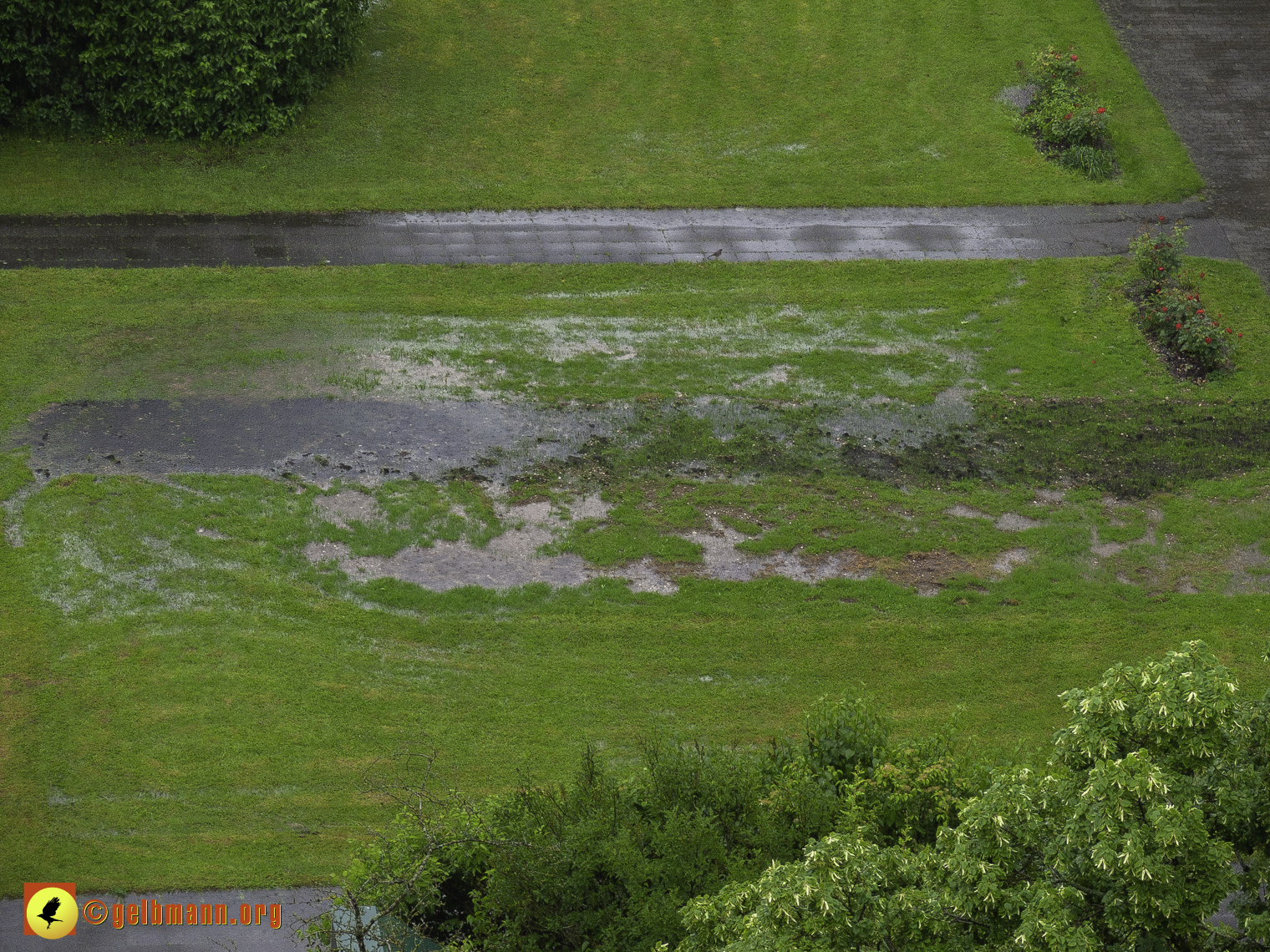 01.06.2024 - Tiefgaragensanierung am Karl-Marx-Ring 52-62 in Neuperlach